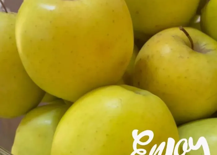 Arsenal 2* 内塞伯尔