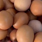 арсенал Хотел 2*